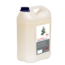 Eikalipts 20L
